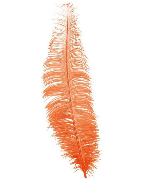 12 Stk. Store Orange Strutsefjær - 40 cm