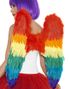 Rainbow Wings - Fjærvinger