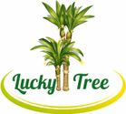 Lucky Tree