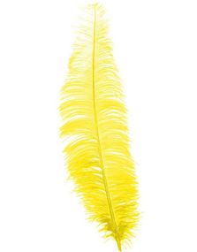12 Stk. Store Gule Strutsefjær - 40 cm