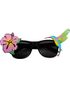 Hibiskus Hawaii-Briller