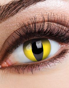 Yellow Cat Crazylinser