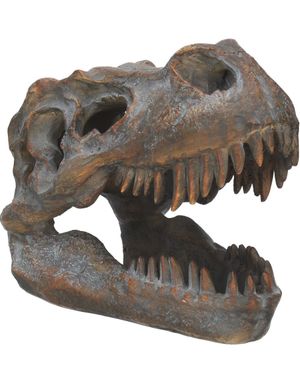Tyrannosaurus Rex Skjeletthode - Frittstående Figur 16 cm