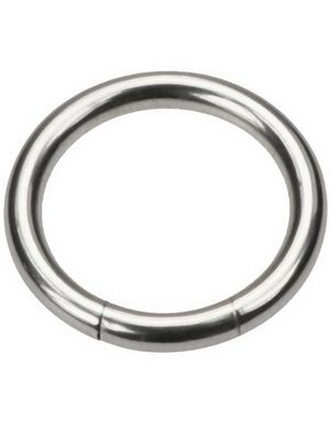 Silver Shine Segment Ring