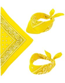 Gul Paisley Bandana