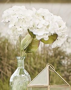 Hortensia bukett - 3 stk