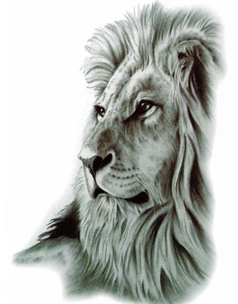 Lion's Pride (Fake Tattoo)