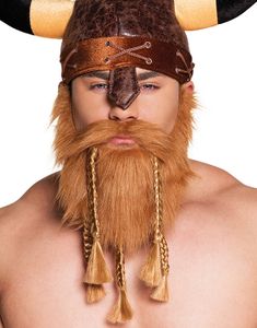 Vikingskjegg og Bart med Fletter