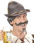 Grå Oktoberfest Parykk med Bart og Hake Skjegg