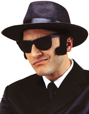 Svarte Blues Brothers Matte Wayfarer Briller 