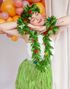 Hawaii-Sett i 4 Deler