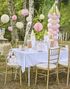 Prinsesseslott Ballongbuesett i Forskjellige Rosa Nyanser - Princess Party