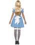 Alice i Eventyrland Kostyme