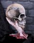 Metallica Sad But True Hodeskalle 22 cm