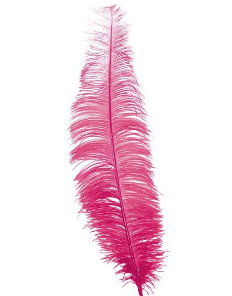 12 Stk. Store Rosa Strutsefjær - 40 cm