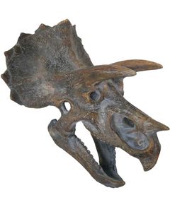 Triceratops Skjeletthode - 23 cm Figur