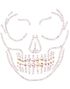 Glow in the Dark Skull Ansiktsstener / Smykker