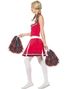 Parkostyme - Superbowl Quarterback og Cheerleader