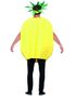 Ananas Unisex Kostyme