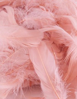 50 gram Dusty Rose Dekorative Fjær 6-12 cm