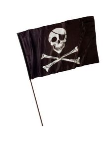Pirat Flagg - 120x70 cm