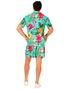 Breezy Flamingo Blå Hawaii Skjorte og Shorts