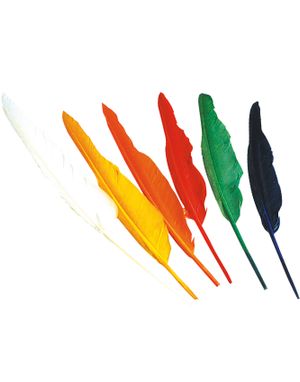 12 stk Lange Indianer Fjær ca 30 cm