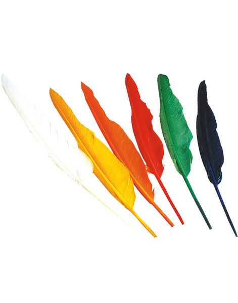 12 stk Lange Indianer Fjær ca 30 cm
