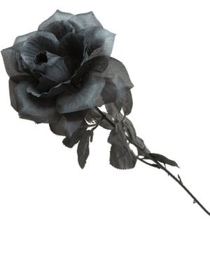 Svart Langstilket Rose med Blader 50 cm