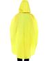 Festival / Regnponcho - And