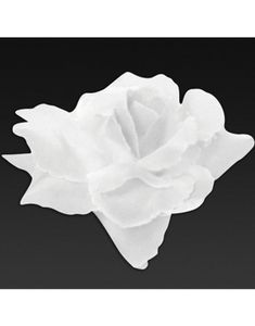 24 stk Hvite Blomster med Selvklebende Teip