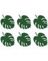 6 stk Monstera Blader 14 cm - Aloha Tropical