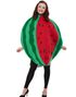 Vannmelon Unisex Kostyme