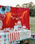 Papirduk Sirkus 120x180 cm - Circus Party