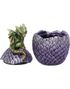Dragonling Perch Box - Grønn Drage og Lilla Drageegg Beholder 14 cm