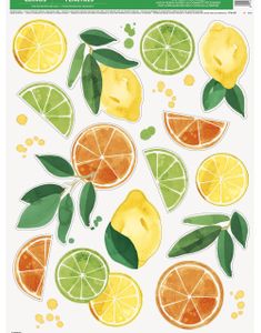 14 Vindusklistremerker Sitrus Frukter - Summer Fruits