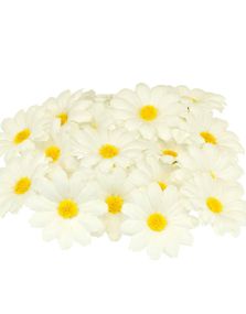 20 stk Hvite Dekorasjonsblomster