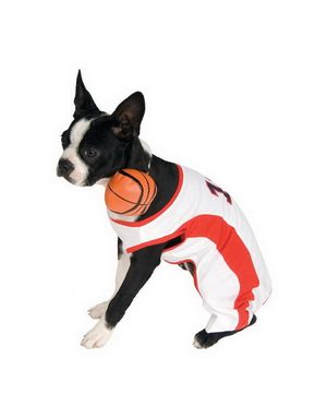Basketball Spiller Hundekostyme