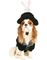 Hat Trick Hundekostyme
