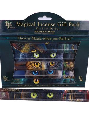 Lisa Parker Magical Incense Pack - 120 Duftpinner i 6 Forskjellige Lukter