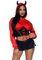 Devil Cropped Hoodie 