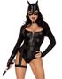 Fierce Feline - Catwoman Inspirert Kostyme
