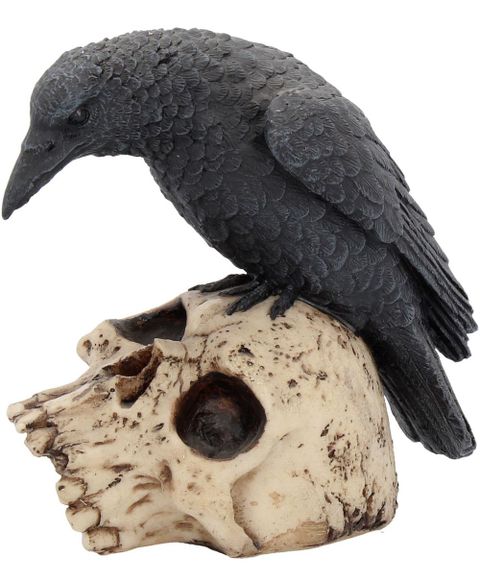 Ravens Remains - Ravn og Hodeskalle Figur 13 cm