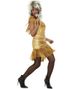 80 talls Tina Turner Gullfarget Kostyme