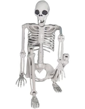 Skjelett i Realistisk Størrelse med Poserbare Ledd 150 cm