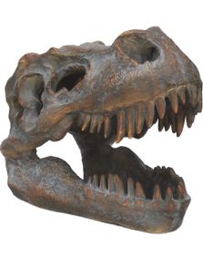 Tyrannosaurus Rex Skjeletthode - Frittstående Figur 16 cm