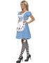 Alice i Eventyrland Kostyme