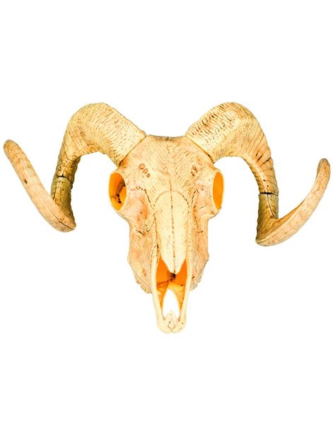 Buffalo Hodeskalle 29x38 cm - Wild West