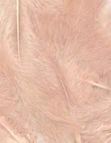 8 gram Dusty Rose Dekorative Fjær 6-12 cm