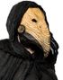 Plague Doctor Latexmaske